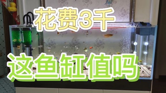 魚缸加鹽消毒需要多長時間（魚缸加鹽消毒需要多長時間完成）