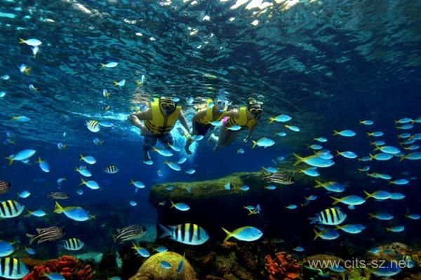 水族館店面擺設(shè)效果圖:水族館店面擺設(shè)設(shè)計 水族館百科(水族館加盟) 第1張 水族館店面擺設(shè)效果圖:水族館店面擺設(shè)設(shè)計 水族館店面擺設(shè)效果圖:水族館店面擺設(shè)設(shè)計 水族館百科(水族館加盟) 第1張