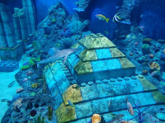 海南哪里有海洋水族館：亞龍灣海底世界門票價(jià)格