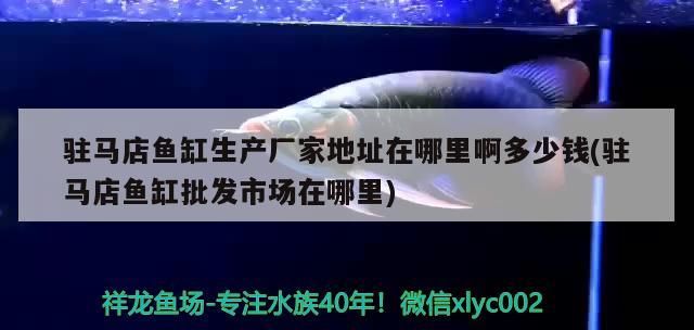 駐馬店魚缸生產廠家地址在哪里啊多少錢(駐馬店魚缸批發(fā)市場在哪里)