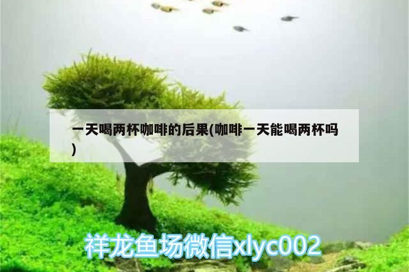 我的虎魚真菌感染了要怎么處理 一天喝兩杯咖啡的后果(咖啡一天能喝兩杯嗎) 馬來西亞咖啡 一天喝兩杯咖啡的后果(咖啡一天能喝兩杯嗎) 一天喝兩杯咖啡的后果(咖啡一天能喝兩杯嗎) 馬來西亞咖啡