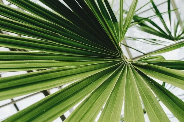 伊罕石英球能用多久（伊罕石英球能用多久啊）