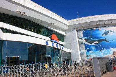 水族館是什么樣子：上海海洋水族館