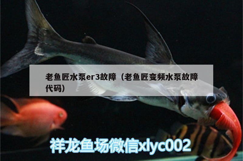 老魚匠水泵er3故障（老魚匠變頻水泵故障代碼）