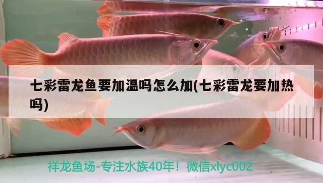 如何平衡金龍魚中的ω-6和ω-3脂肪酸，ω-6和ω-6和ω-3脂肪酸的判斷