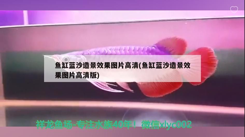 魚缸藍沙造景效果圖片高清(魚缸藍沙造景效果圖片高清版)