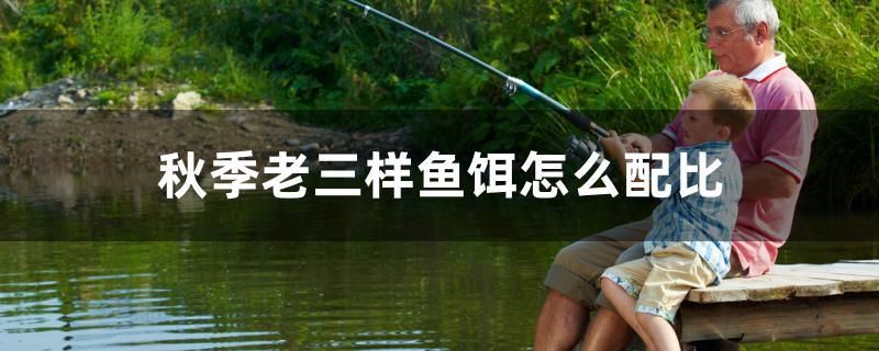 秋季老三樣魚餌怎么配比 秋季老三樣魚餌怎么配比 九鼎魚缸