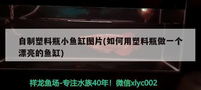 許昌哪里賣魚缸便宜又好看 許昌哪里賣魚缸便宜又好看的 許昌哪里賣魚缸便宜又好看 許昌哪里賣魚缸便宜又好看的 伊罕水族 第2張