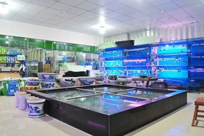 觀賞魚店鋪裝修風格（店鋪裝修風格的選擇） 觀賞魚店鋪裝修風格（店鋪裝修風格的選擇） 伊罕水族 第2張