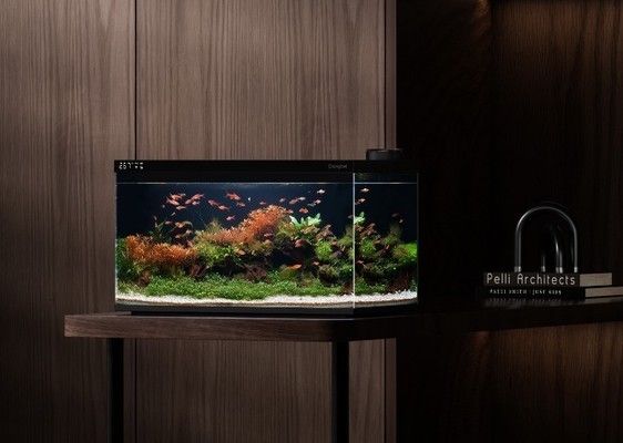 創寧變頻水泵顯示e07怎么回事（創寧變頻水泵顯示e07怎么回事啊） 創寧變頻水泵顯示e07怎么回事（創寧變頻水泵顯示e07怎么回事啊） 創寧水族