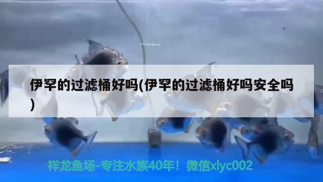 伊罕的過濾桶好嗎(伊罕的過濾桶好嗎安全嗎)