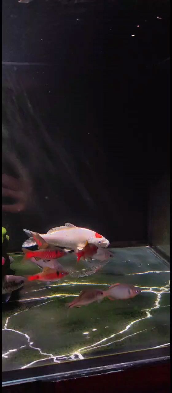無聊