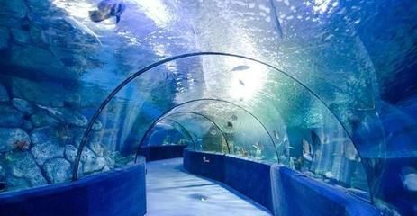 建一個水族館多少錢：廣州白云機場新建水族館項目預計投放至少2000條魚