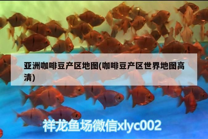 亞洲咖啡豆產區地圖(咖啡豆產區世界地圖高清) 亞洲咖啡豆產區地圖(咖啡豆產區世界地圖高清) 馬來西亞咖啡