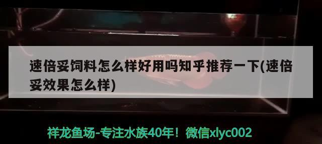 速倍妥飼料怎么樣好用嗎知乎推薦一下(速倍妥效果怎么樣) 速倍妥飼料怎么樣好用嗎知乎推薦一下(速倍妥效果怎么樣) 速倍妥