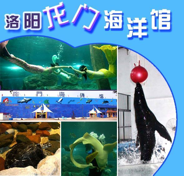 國內 水族館：上海海洋水族館 國內 水族館：上海海洋水族館 水族館百科（水族館加盟） 第3張