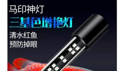 馬印燈怎么區分真假：如何區分馬印燈的真假 馬印燈怎么區分真假：如何區分馬印燈的真假 馬印水族 第2張