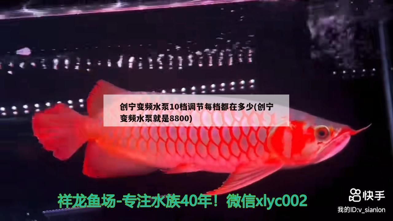 創寧變頻水泵10檔調節每檔都在多少(創寧變頻水泵就是8800)