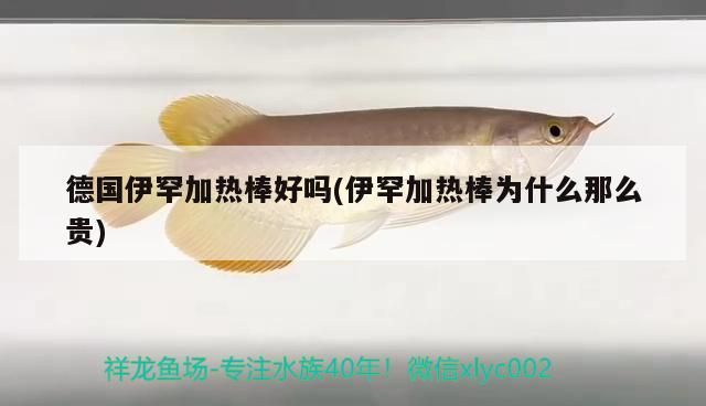 德國伊罕加熱棒好嗎(伊罕加熱棒為什么那么貴)