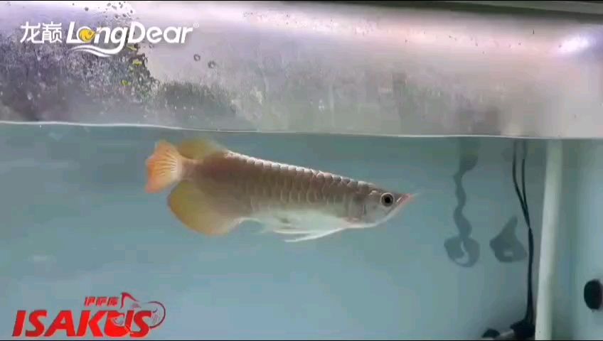 轉(zhuǎn)發(fā)612