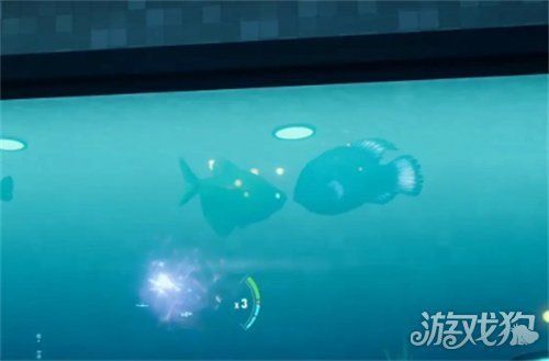 游戲水族館里的魚參觀：游戲水族館中的魚類展覽對參觀者的影響以及它們如何通過視覺體驗