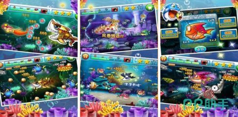 游戲水族館里的魚參觀：游戲水族館中的魚類展覽對參觀者的影響以及它們如何通過視覺體驗