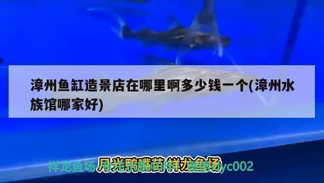 開(kāi)家水族館掙錢嗎現(xiàn)在多少錢一個(gè)月：開(kāi)家水族館是否掙錢以及每月能掙多少錢