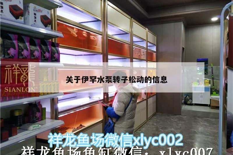 關于伊罕水泵轉子松動的信息 關于伊罕水泵轉子松動的信息 伊罕水族