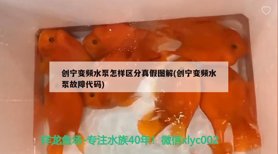 創寧變頻水泵怎樣區分真假圖解(創寧變頻水泵故障代碼)