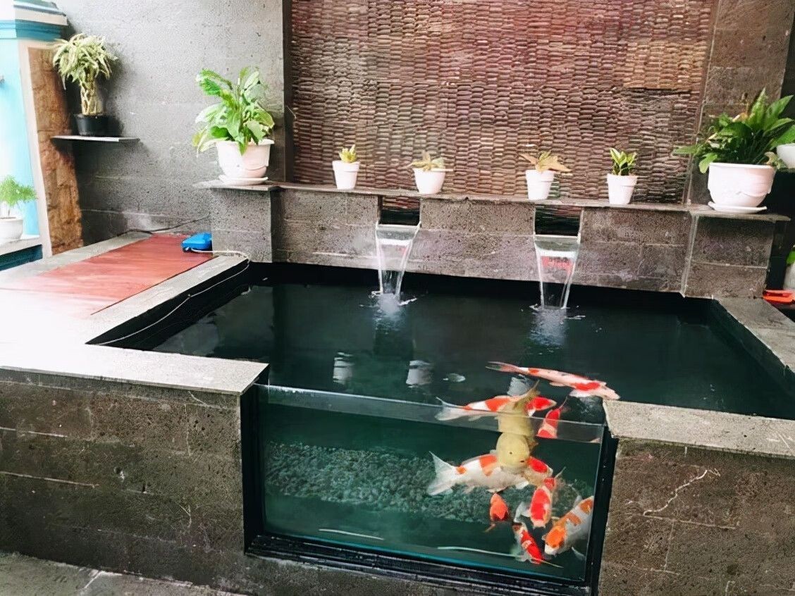 后院魚池位置風水（家庭庭院設計中的風水原則）