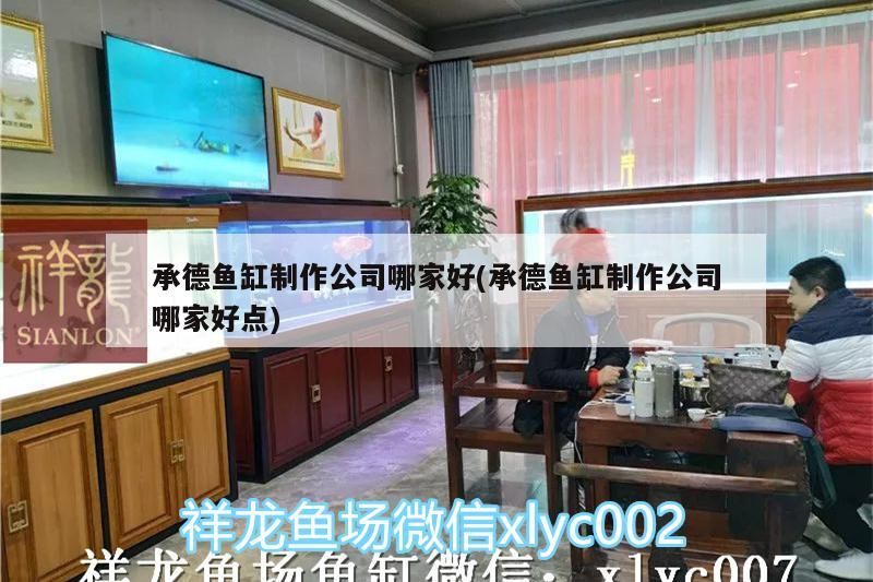 承德魚缸制作公司哪家好(承德魚缸制作公司哪家好點)