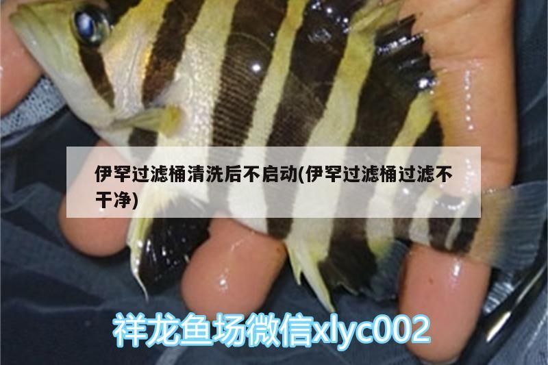 伊罕過濾桶清洗后不啟動(伊罕過濾桶過濾不干凈)