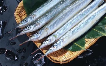 魟魚下魚：魟魚在繁殖過程中需要注意什么