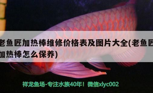 老魚匠加熱棒維修價格表及圖片大全(老魚匠加熱棒怎么保養)
