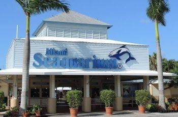 水族館開放時間表（三亞亞特蘭蒂斯失落的空間水族館）