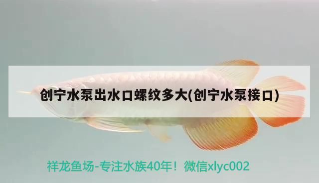 創寧水泵出水口螺紋多大(創寧水泵接口)