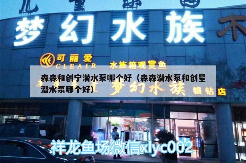 森森和創寧潛水泵哪個好（森森潛水泵和創星潛水泵哪個好）