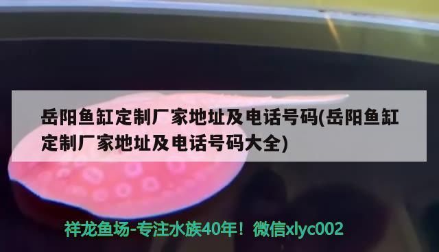 鸚鵡魚(yú)和銀龍魚(yú)混養(yǎng)怎樣喂食 岳陽(yáng)魚(yú)缸定制廠家地址及電話號(hào)碼(岳陽(yáng)魚(yú)缸定制廠家地址及電話號(hào)碼大全) 可麗愛(ài)魚(yú)缸 岳陽(yáng)魚(yú)缸定制廠家地址及電話號(hào)碼(岳陽(yáng)魚(yú)缸定制廠家地址及電話號(hào)碼大全) 岳陽(yáng)魚(yú)缸定制廠家地址及電話號(hào)碼(岳陽(yáng)魚(yú)缸定制廠家地址及電話號(hào)碼大全) 可麗愛(ài)魚(yú)缸