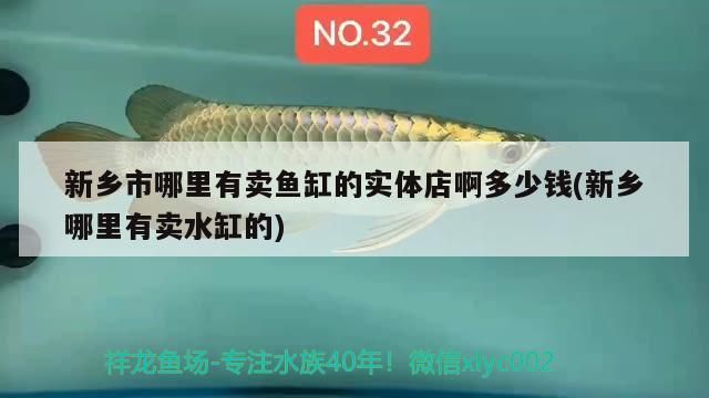 新鄉市哪里有賣魚缸的實體店啊多少錢(新鄉哪里有賣水缸的)