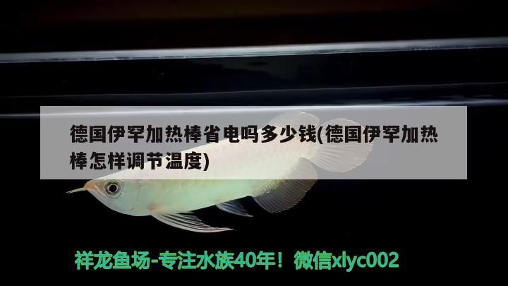 德國(guó)伊罕加熱棒省電嗎多少錢(qián)(德國(guó)伊罕加熱棒怎樣調(diào)節(jié)溫度)