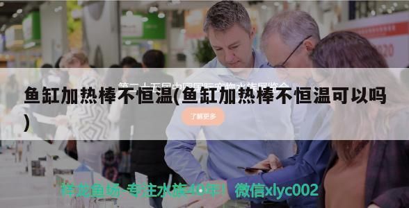魚缸加熱棒不恒溫(魚缸加熱棒不恒溫可以嗎)