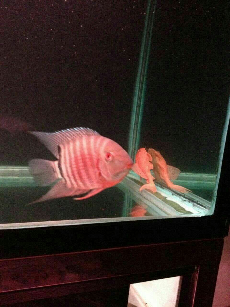 是十間嗎？