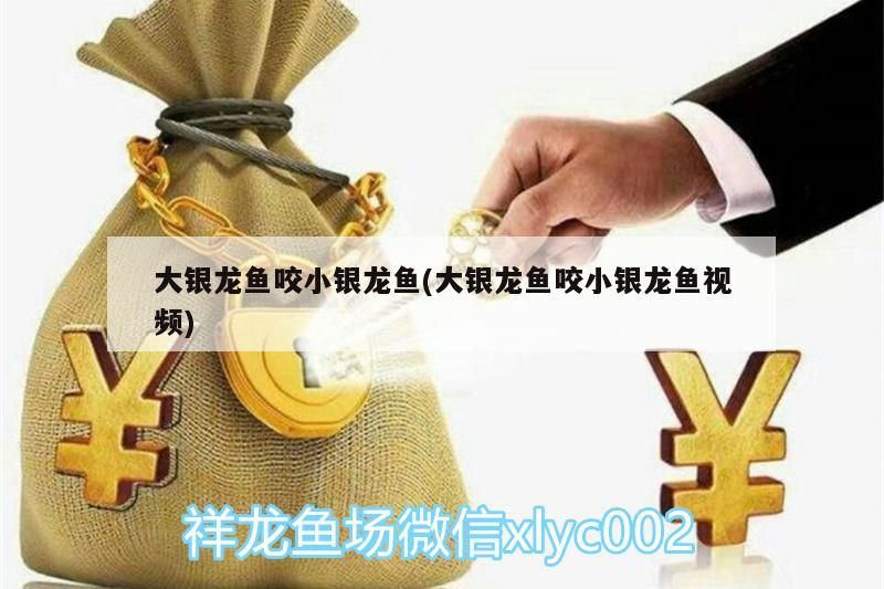 是十間嗎？
