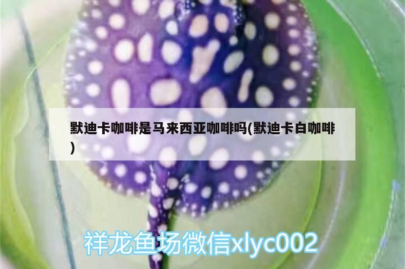 默迪卡咖啡是馬來西亞咖啡嗎(默迪卡白咖啡)