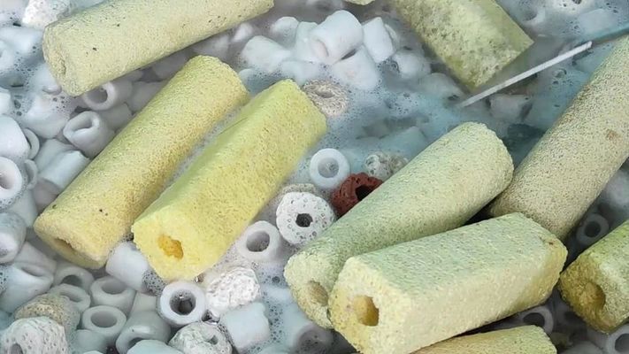 吉印嘉禾園房價（吉印嘉禾園是干嘛的）