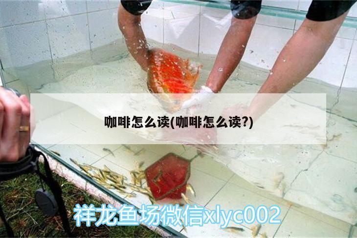咖啡怎么讀(咖啡怎么讀?)