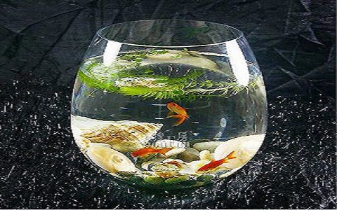 老魚匠殺菌燈說明書（老魚匠殺菌燈說明書圖片） 老魚匠殺菌燈說明書（老魚匠殺菌燈說明書圖片） 老魚匠