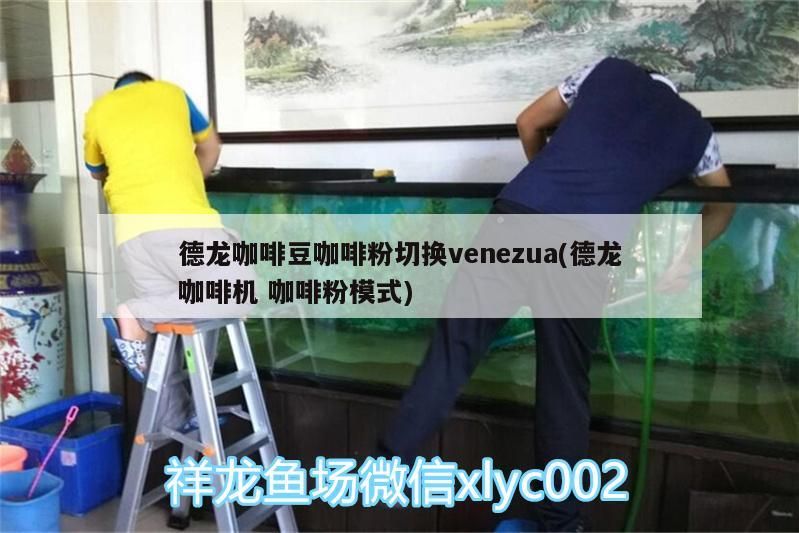 德龍咖啡豆咖啡粉切換venezua(德龍咖啡機咖啡粉模式)