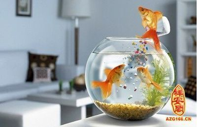 呼和浩特市二手魚缸回收電話地址在哪（呼和浩特市二手魚缸回收電話地址在哪里）