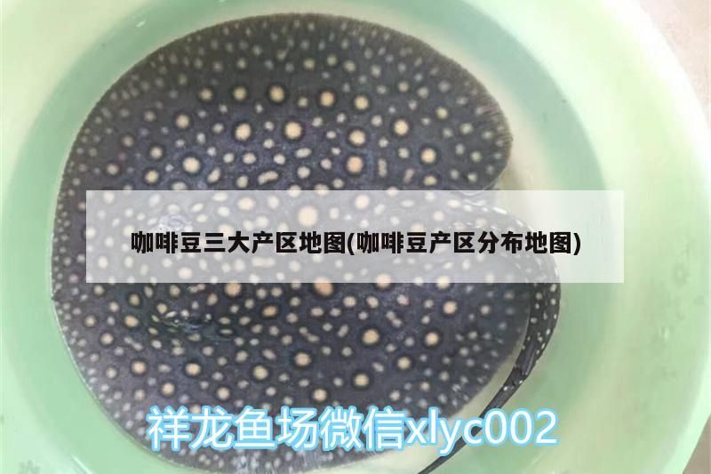 咖啡豆三大產(chǎn)區(qū)地圖(咖啡豆產(chǎn)區(qū)分布地圖)